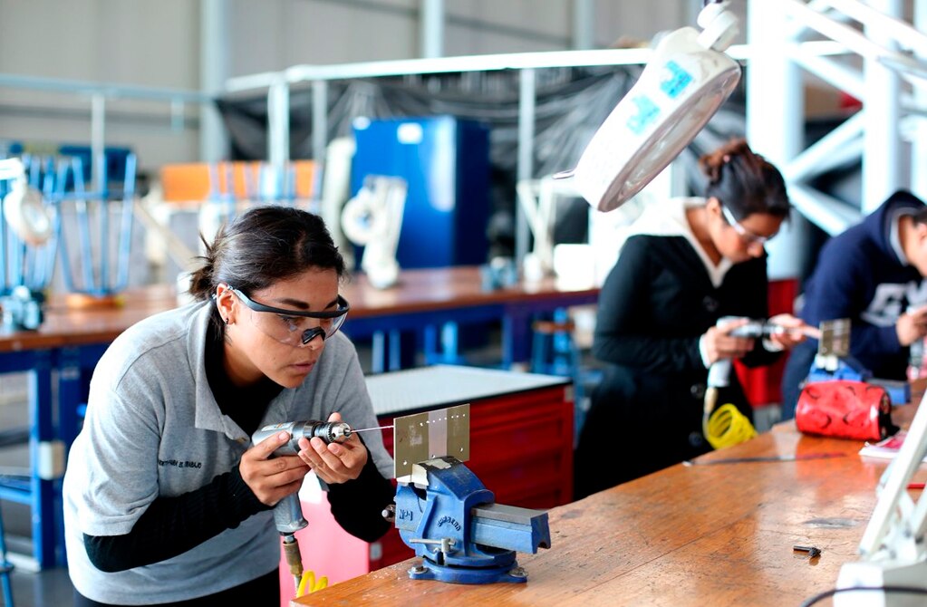 “Urgente llevar profesionistas a la industria”