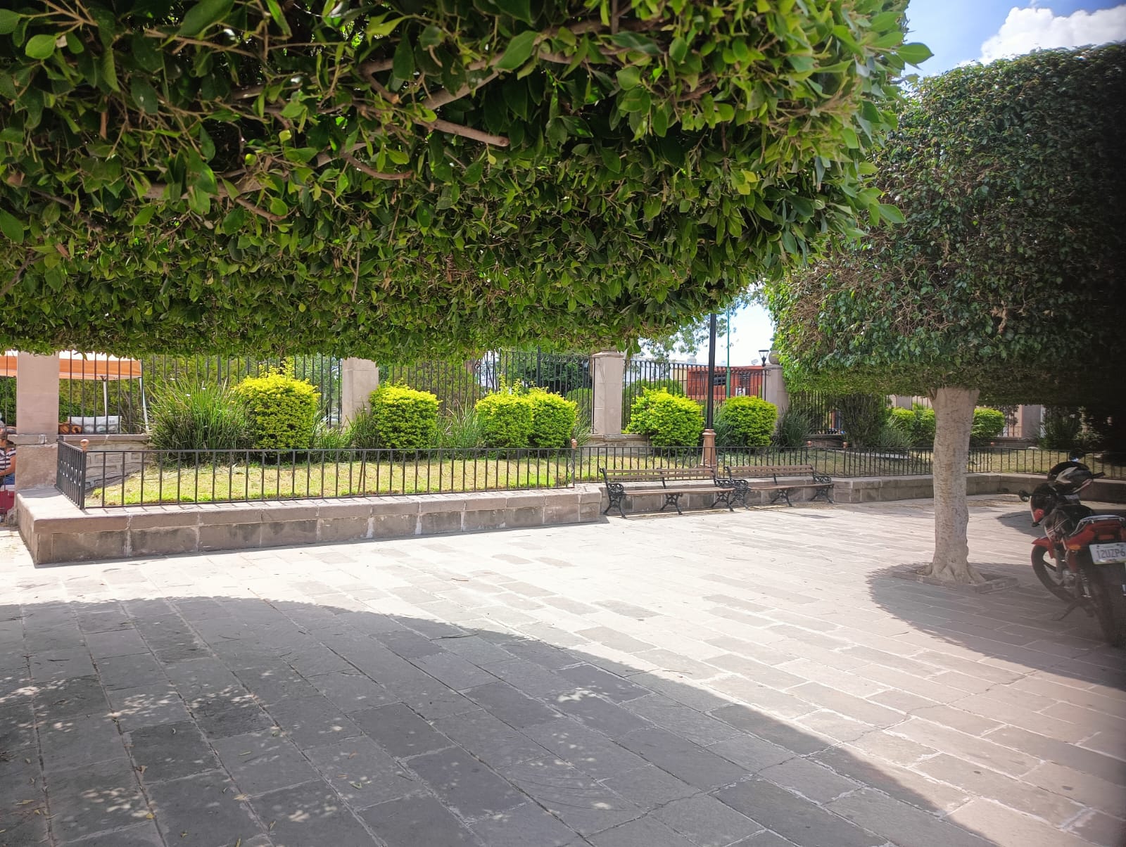 Foto: Jazmín Ramírez