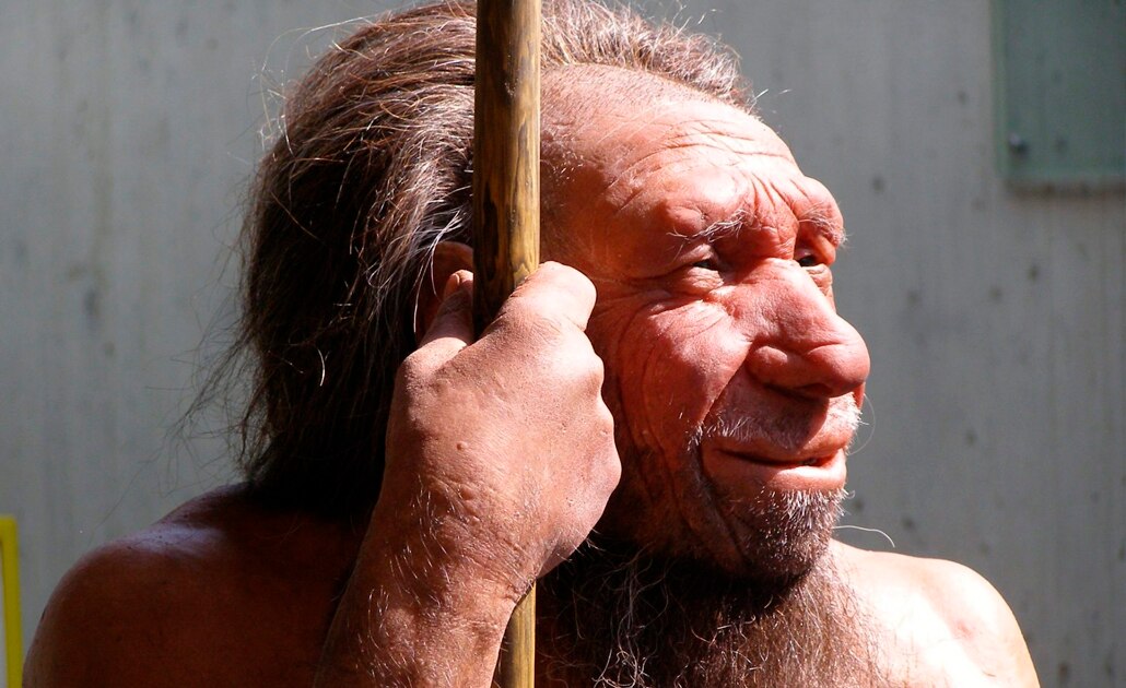 El frío pudo ser el culpable de la extinción de los neandertales