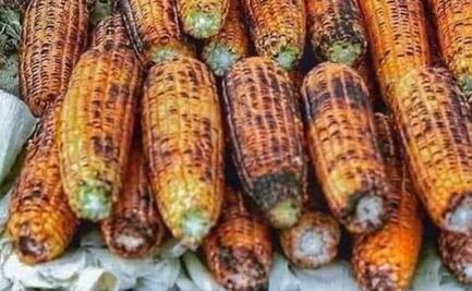 ¡Gana dinero comiendo elotes! Villa de Juárez invita a su Festival del Elote 2023