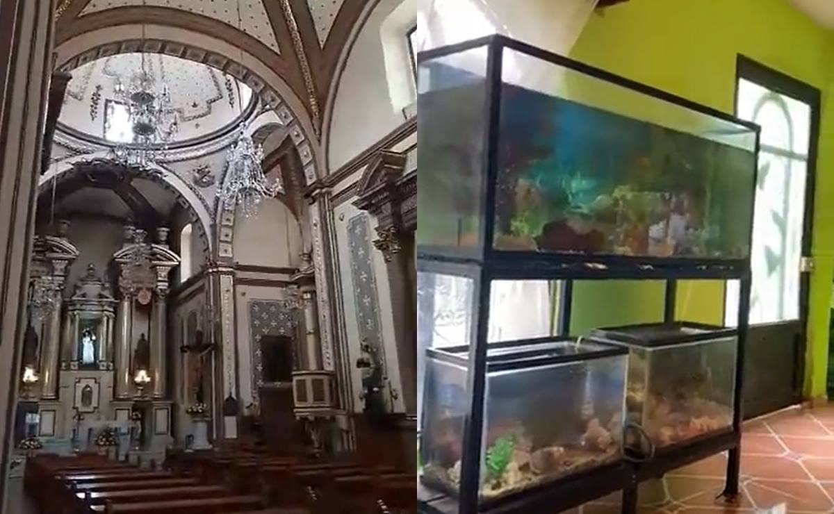 EN VIDEO. Así se sintió el sismo de 7.7 grados en diversas regiones de San Luis Potosí 