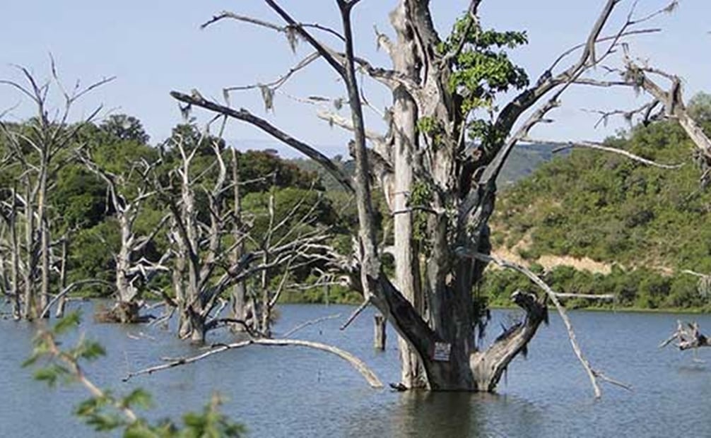 Presa El Naranjo en Cárdenas SLP. Foto: Gobierno Municipal de Cárdenas.