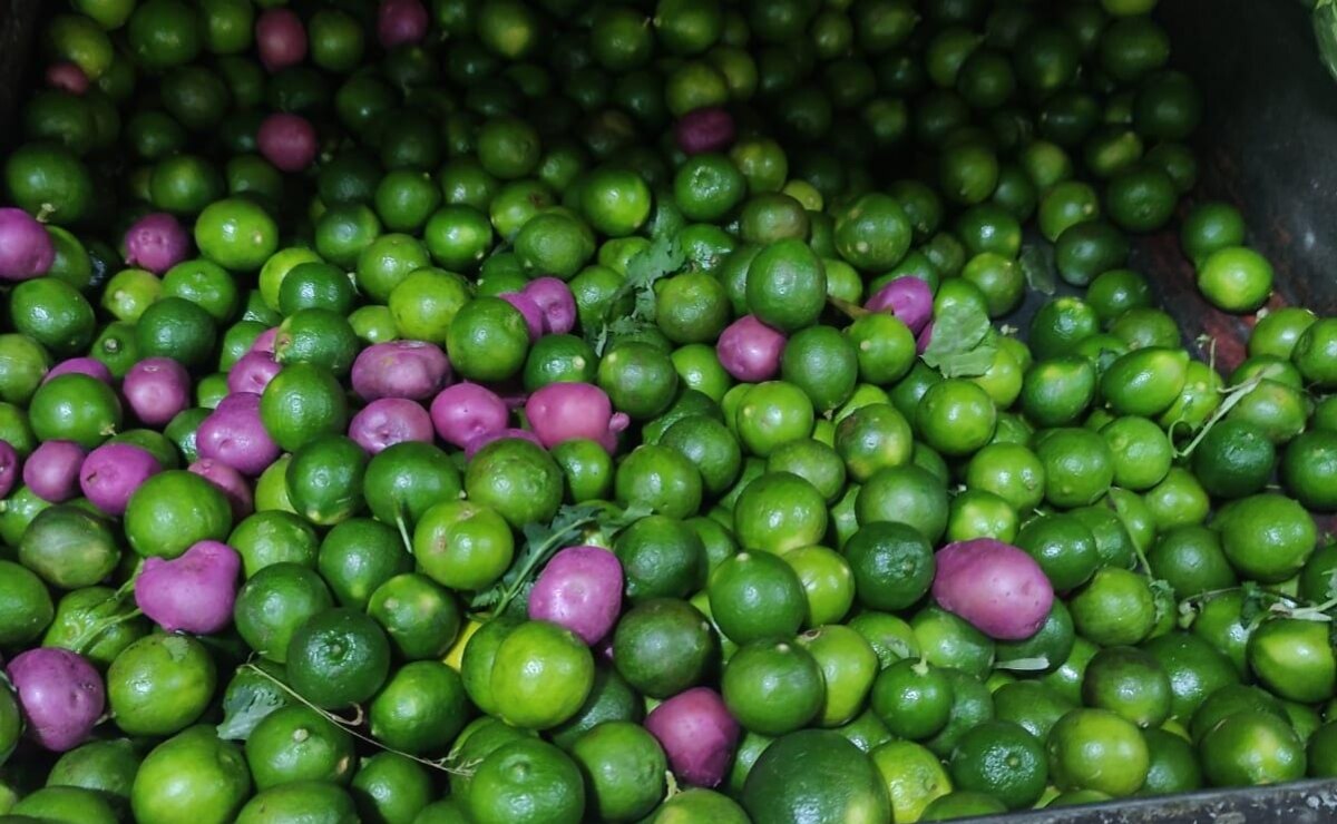 Por fin a la baja, el costo del limón en San Luis Potosí