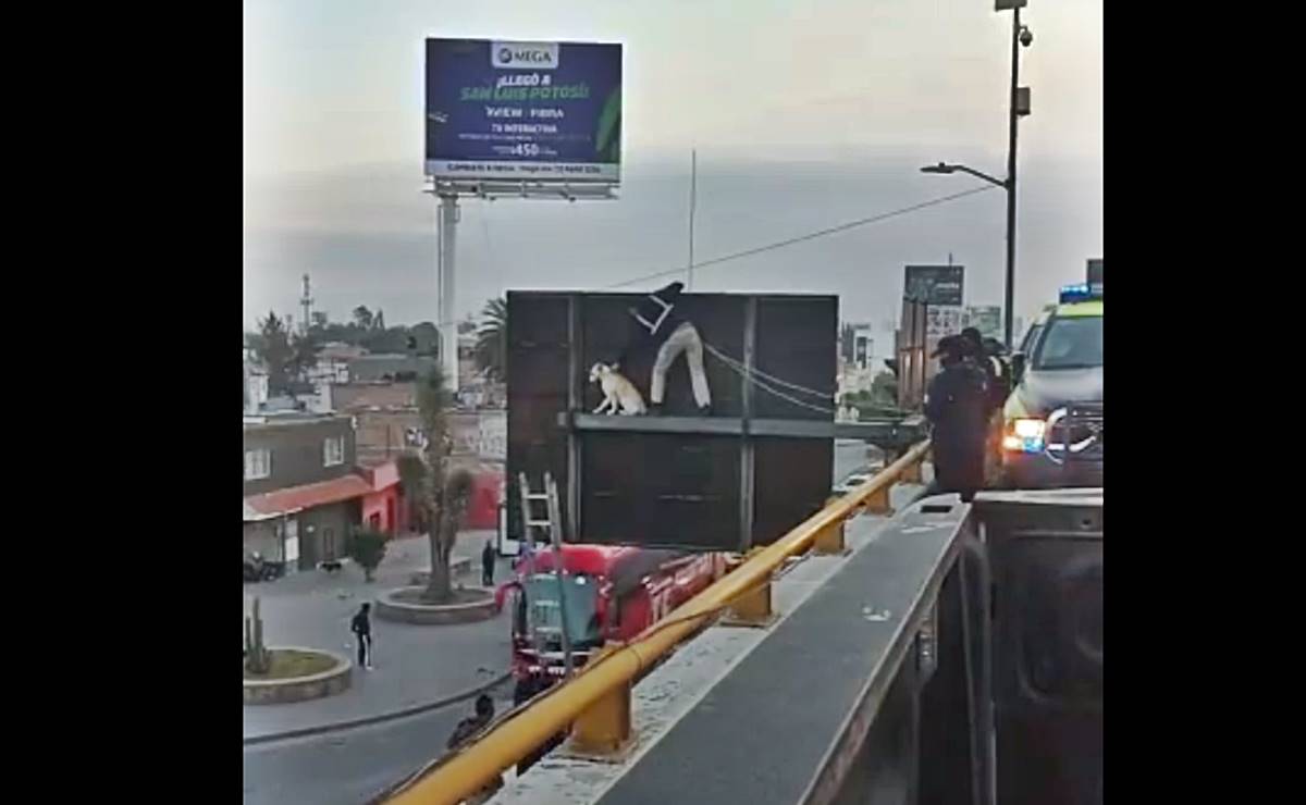 ¡¿Qué hacía ahí?! En SLP, rescatan a lomito que estaba en la parte alta de una señalética vial