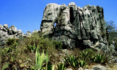 Sierra de San Miguelito. Foto: Comunidad San Juan de Guadalupe