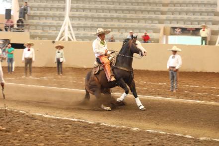 Ricardo Gallardo Cardona y su equipo triunfan en el Torneo Estatal Charro