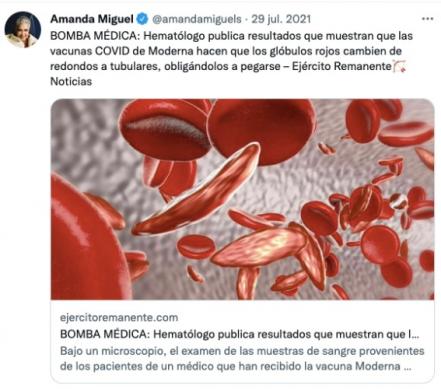 ¿Amanda Miguel y Diego Verdaguer, antivacunas?
