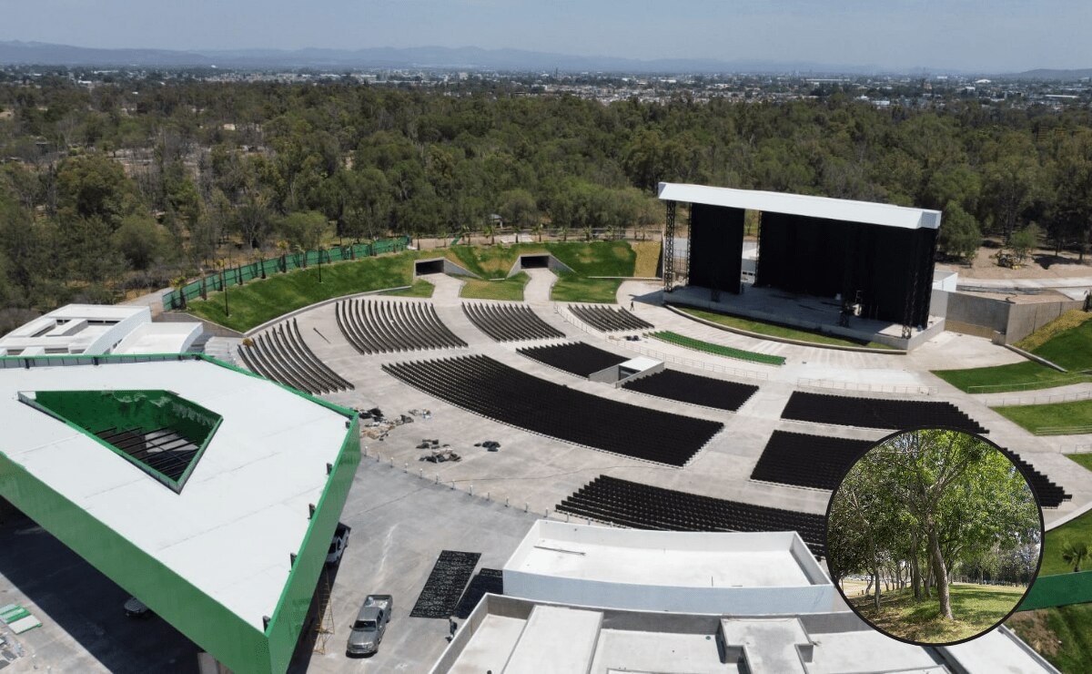 Boletos para concierto de magneto y mercurio serán a cambio de arbolitos para el parque Tangamanga. Foto: Especial
