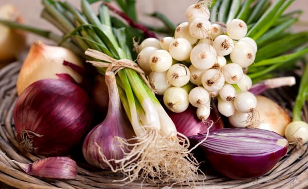 Foto: Archivo. El Universal.