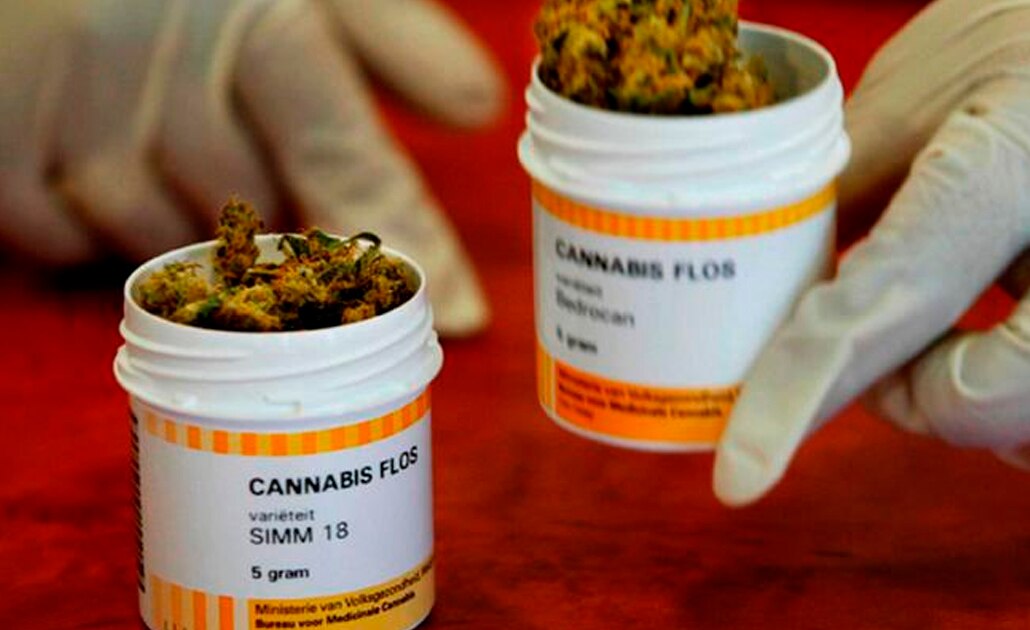 Aumentará demanda de fármacos con base en marihuana