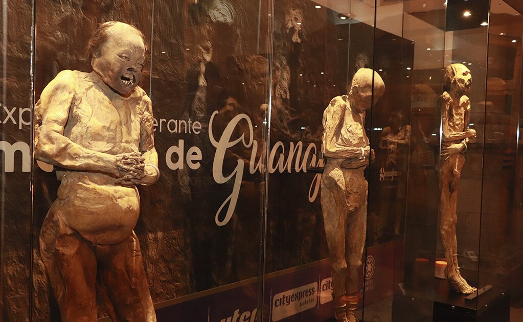 4 mil potosinos visitaron “Momias de Guanajuato” en el primer día de exposición