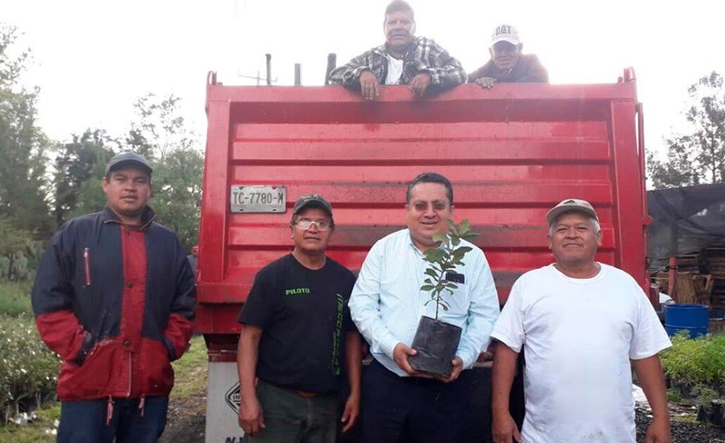 Donan 35 mil árboles para rescate de Sierra de San Miguelito