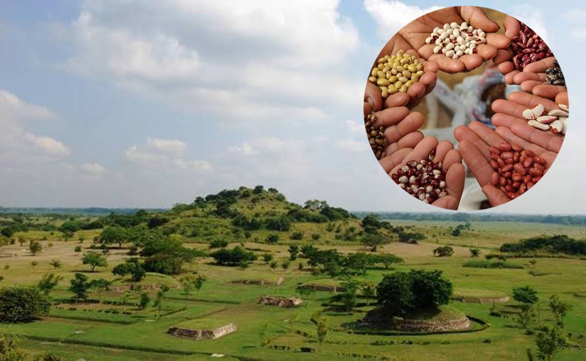 La Bendición de Semillas es una tradición ancestral indígena para tener una buena temporada de siembra y cosecha. Foto: Especial