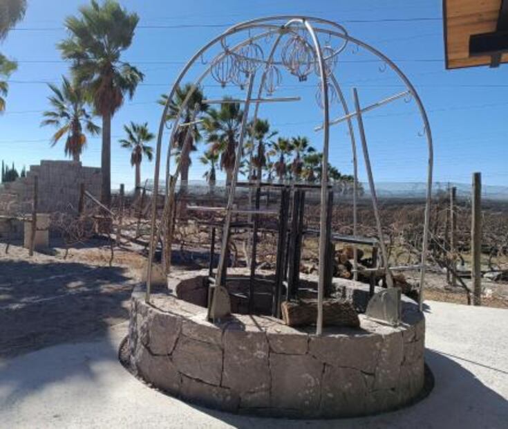 Pozo de Luna, el vino soledense que catapulta a SLP en el reconocimiento internacional