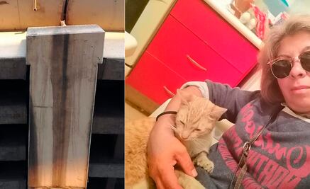 Rescatan a gato en distribuidor Juárez 