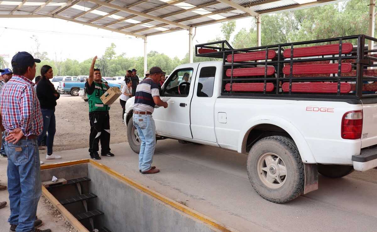 Más de 32 mil "autos chocolate" han sido legalizados en SLP; se extiende registro hasta septiembre