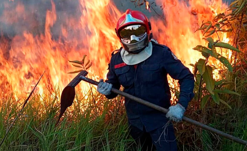 ¿Qué se está haciendo para combatir el fuego en el Amazonas?