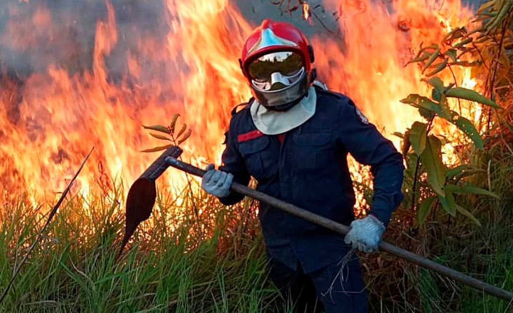 ¿Qué se está haciendo para combatir el fuego en el Amazonas?