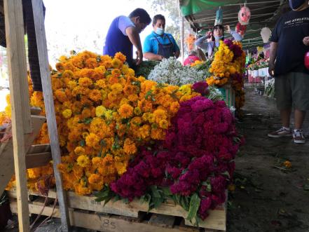 Floristas piden a autoridades de SLP abrir panteones en Día de Muertos