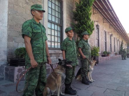 Juan Antonio, el pequeño soldado que enfrenta su primera batalla