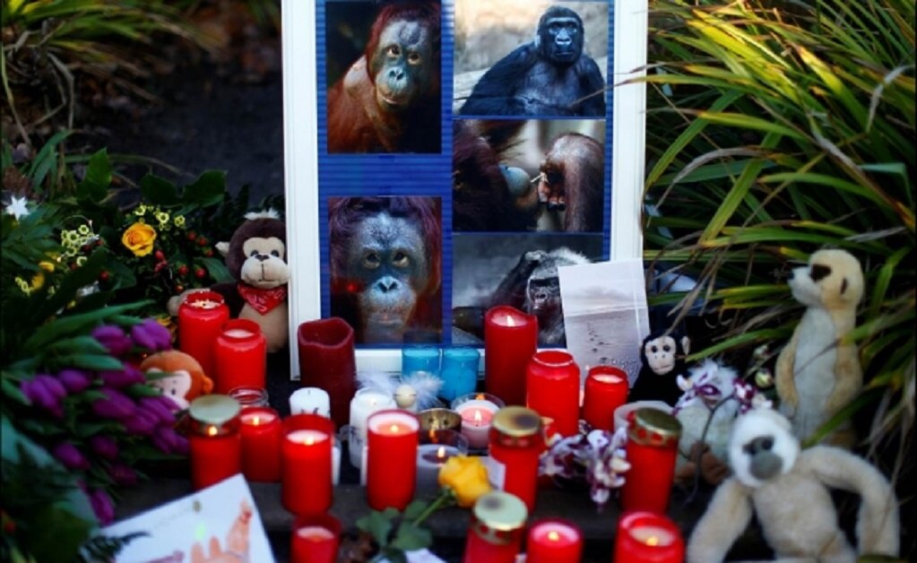 Incendio en zoo de Alemania causó la muerte de al menos 30 monos; reaviva debate sobre pirotecnia de Fin de Año