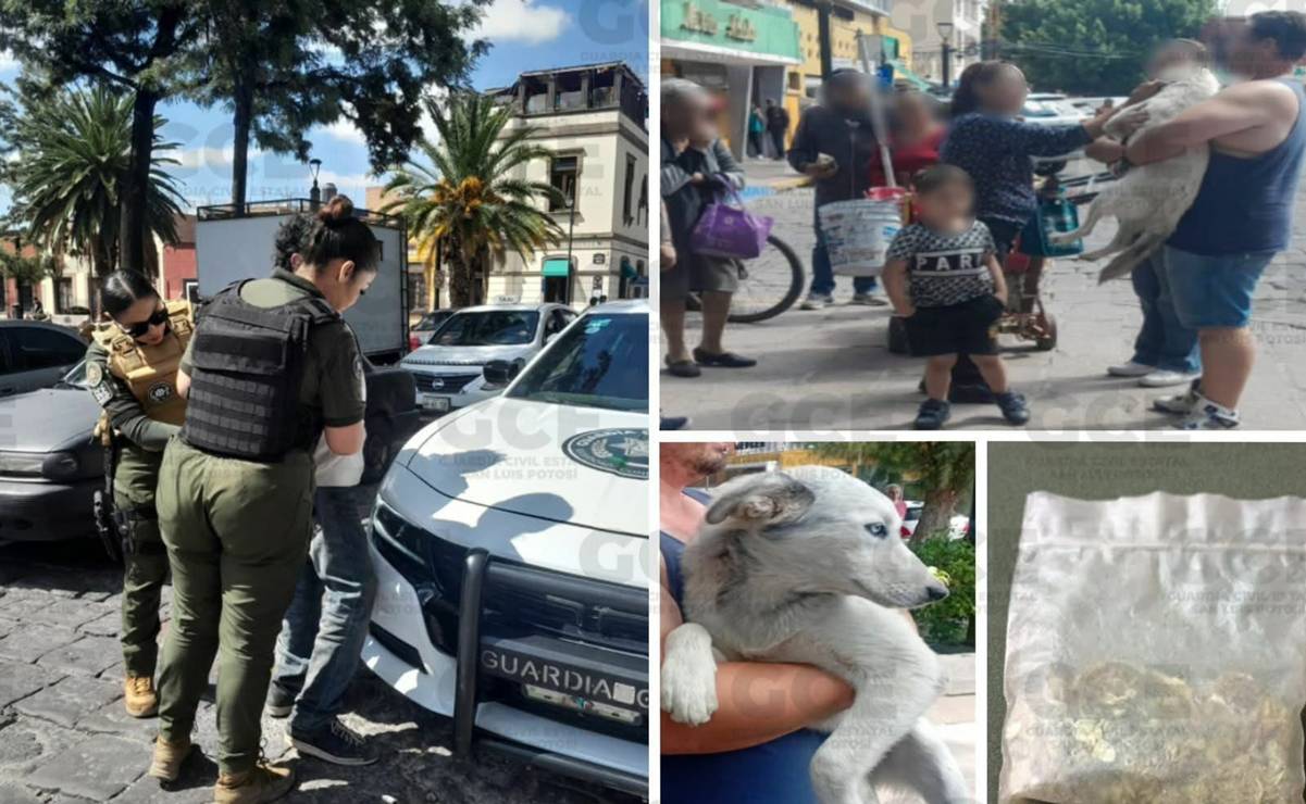 Detienen a hombre que asfixiaba a un perro en pleno Centro Histórico de SLP
