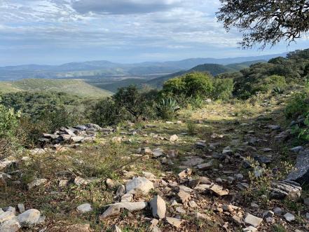 Impulsa turismo de SLP nuevas rutas de ciclismo, aviturismo y senderismo