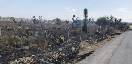 Más de mil hectáreas afectadas por incendios en este 2019: Conafor