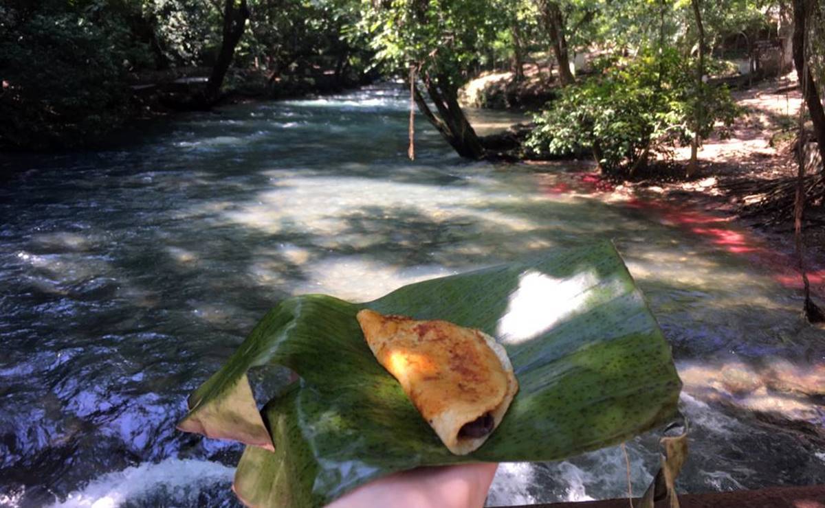 Enchiladas Huastecas, un manjar que guarda el auténtico sabor de la Huasteca de San Luis Potosí