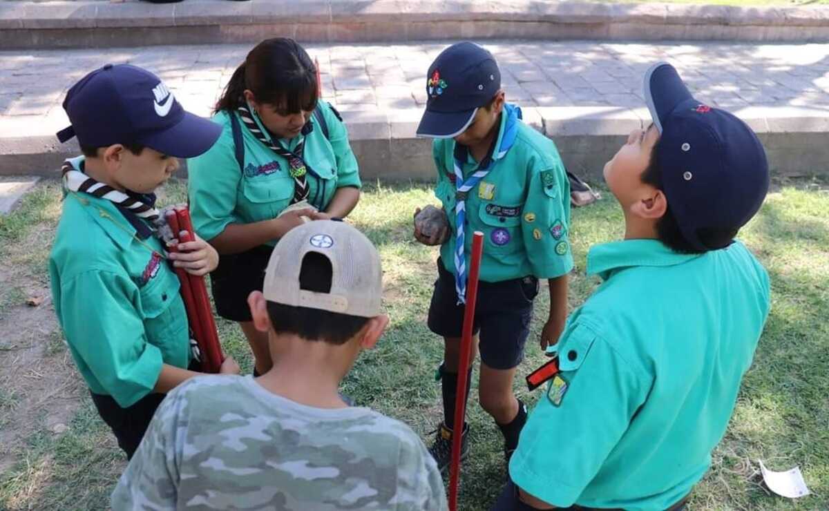 Scouts: más allá del aprendizaje, un camino a la independencia