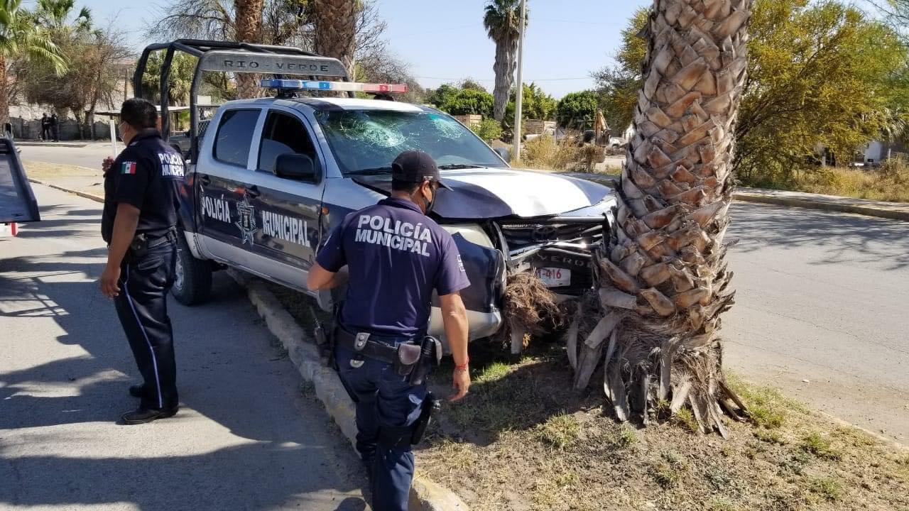 En persecución, policías de Rioverde chocan contra palmera y sospechoso escapa