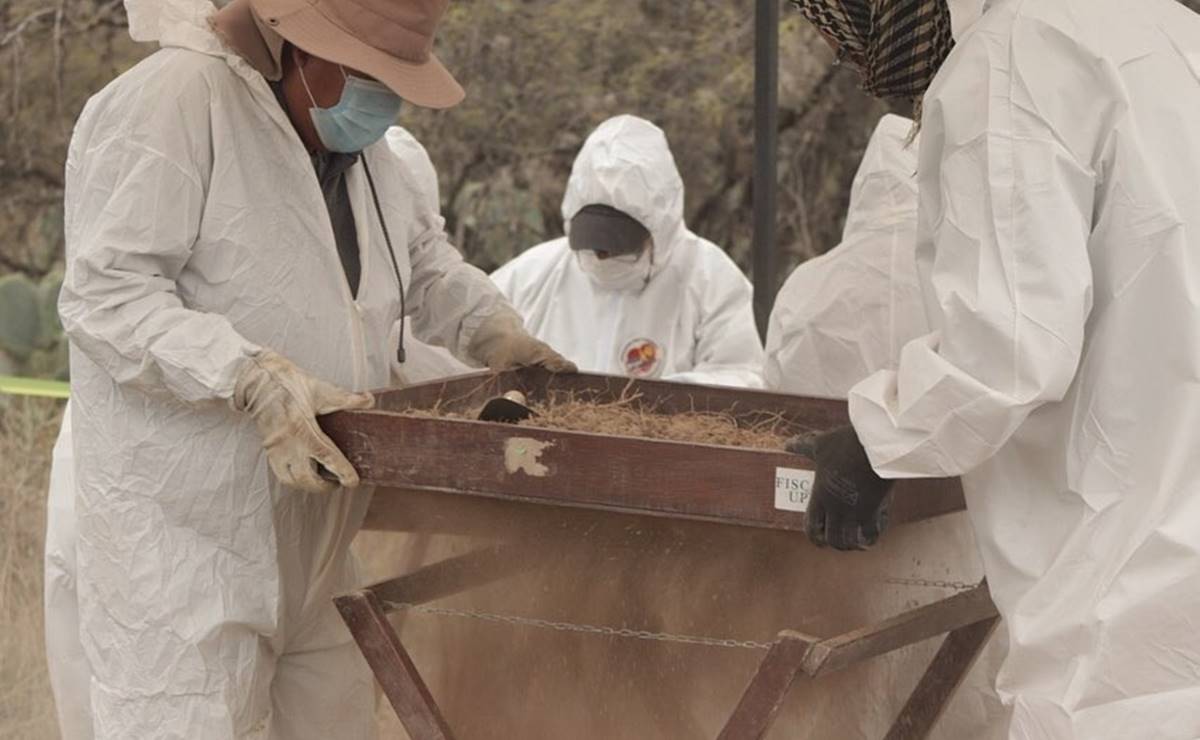 Fiscalía de SLP descarta fosa clandestina en Cárdenas tras hallazgo de cuerpos humanos