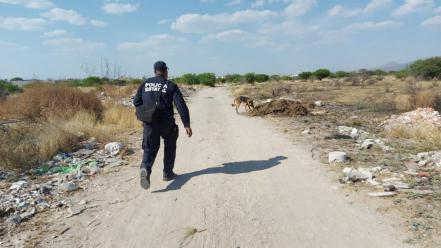 Con binomios caninos y sobrevuelos en capital de SLP, buscan a Nayeli Alfaro 