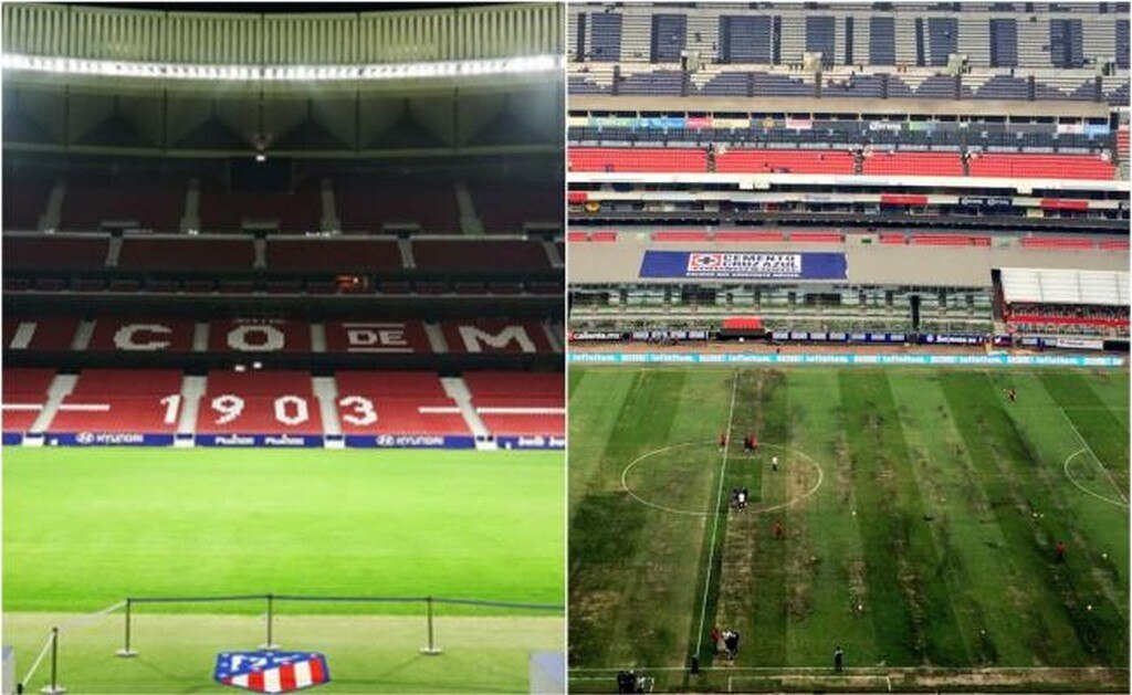 En España cambian pasto híbrido y está listo en una semana