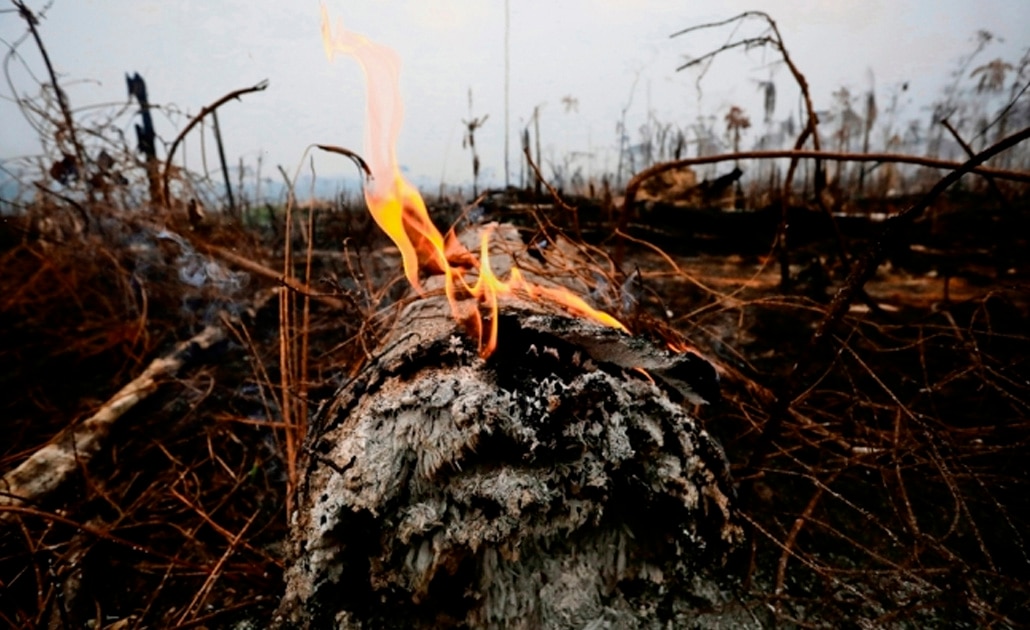 La Amazonía podría pasar de aspirador de CO2 a emisor del gas contaminante