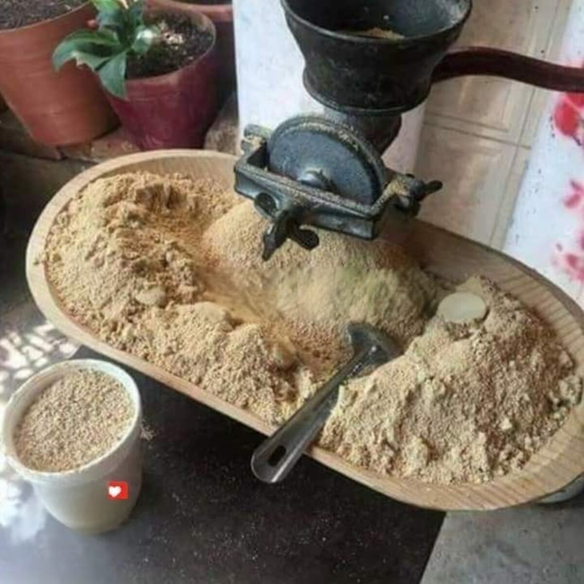 Foto: Facebook Amor por San Luis Potosí.