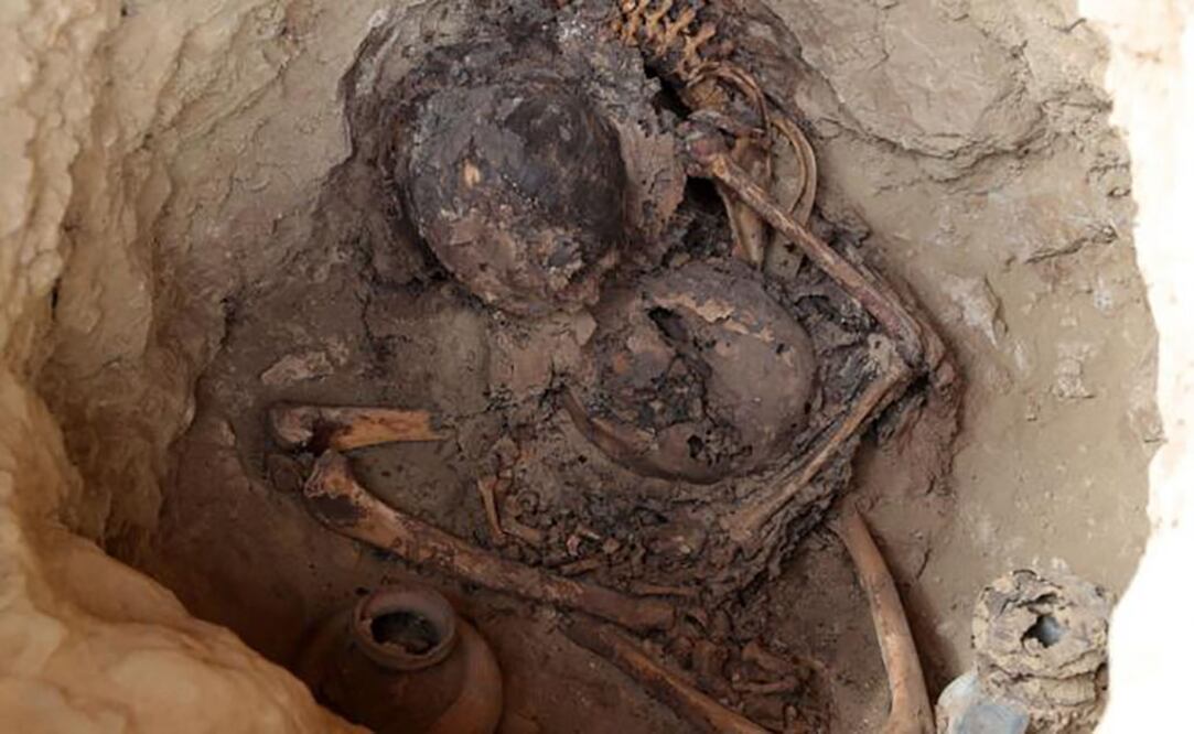 Restos óseos halladosen las excavaciónes de una de las laderas, de una de las pirámides que conforman la huaca Las Abejas. Foto: EFE/Ernesto Arias