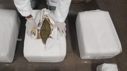 Aseguran 80 kilos de marihuana en aeropuerto 