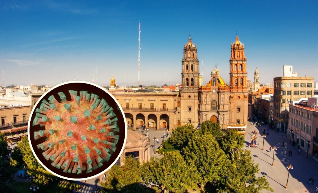 San Luis Potosí sin casos ni defunciones por metapneumovirus humano, confirma Secretaría de Salud. Foto: Especial