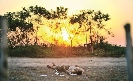Ecos del México convulso, en la fotografía y el arte