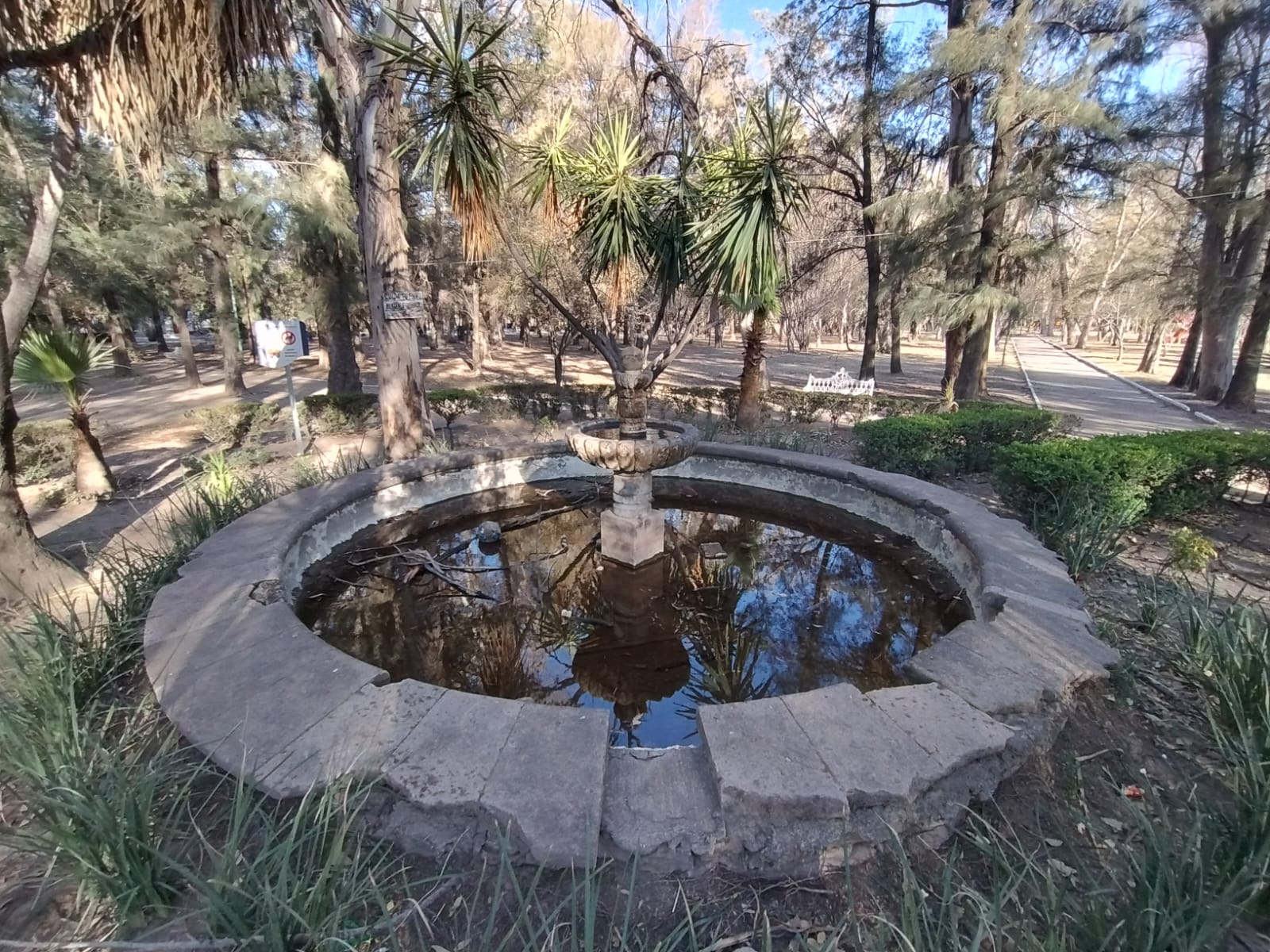 Foto: Xochiquetzal Rangel