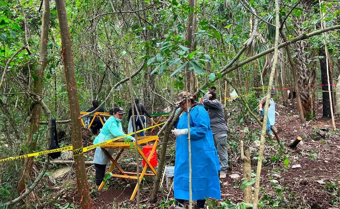 Colectivos de búsqueda de personas desaparecidas. Foto: Especial