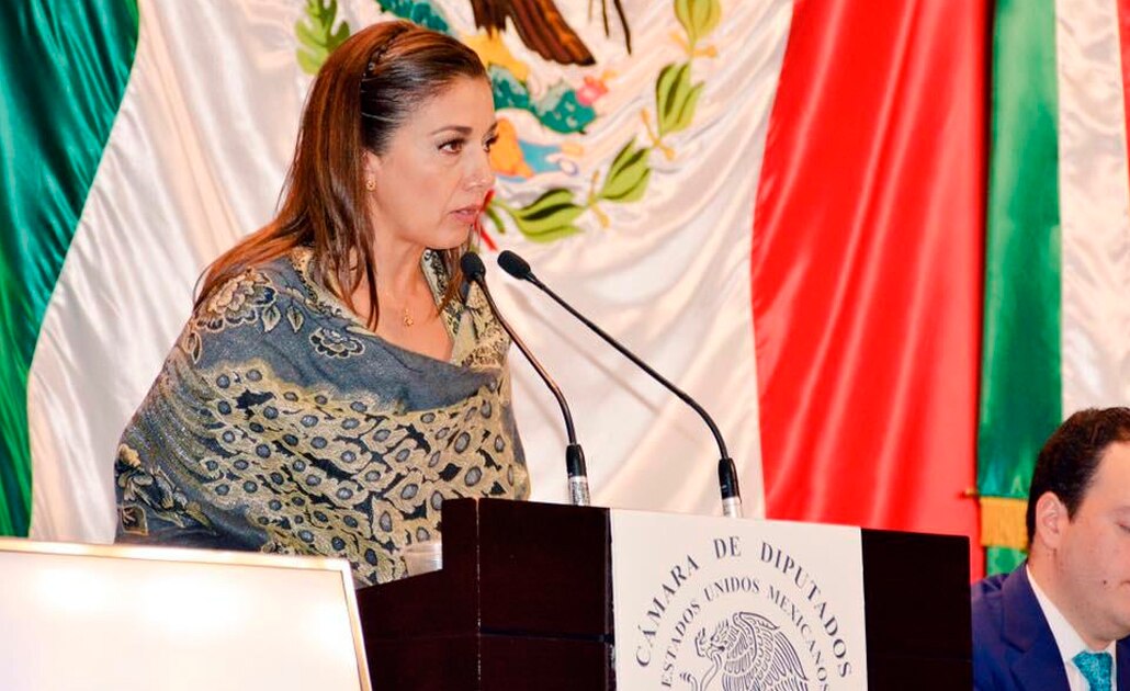 Reformas de Morena no garantizan derechos ni libertades: Salazar Báez