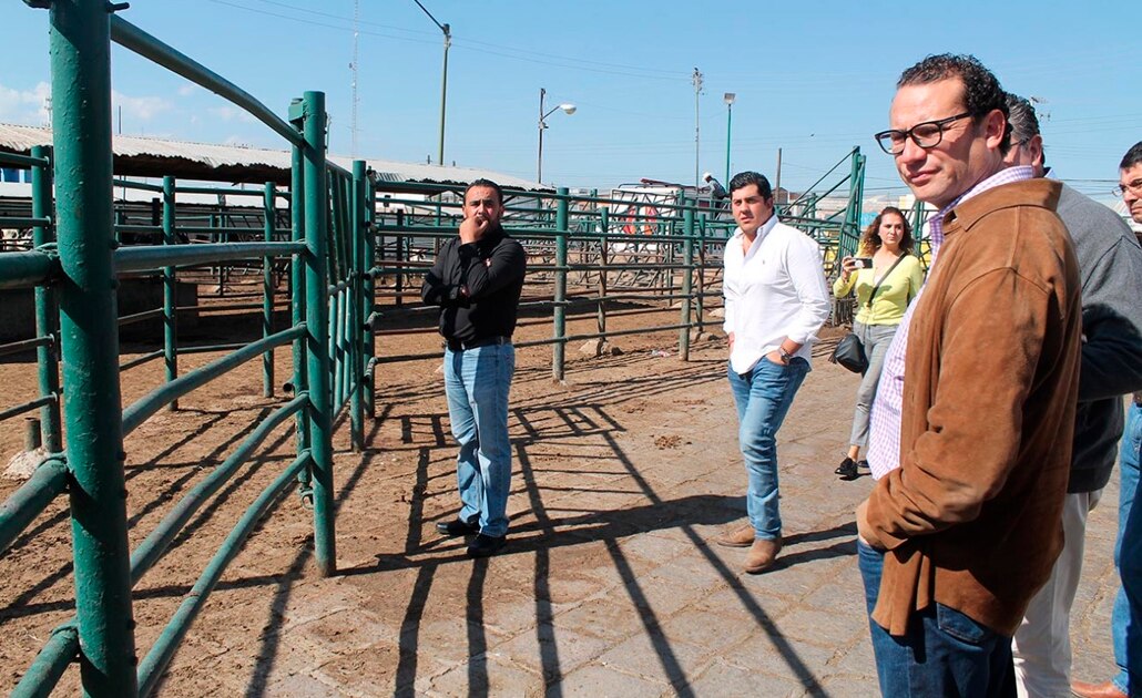 No se invertirán más recursos en rastro TIF: Nava