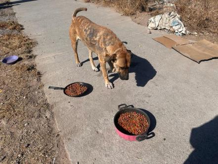 Don José y la familia Macías se conocen; ambos continúan buscando a su familia en SLP