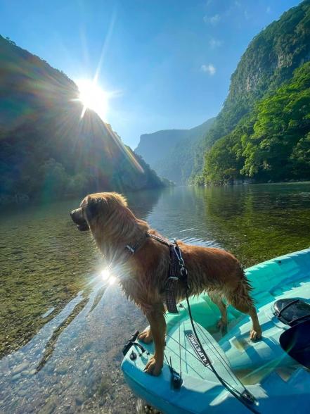 Covidia, la perrita que invita a descubrir la Huasteca potosina  