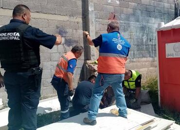 Rescatan a dos jabalís del interior de una empresa en la Zona Industrial de SLP