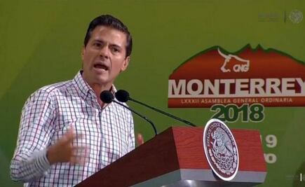 Pide Peña Nieto votar con la razón y "no con la víscera"