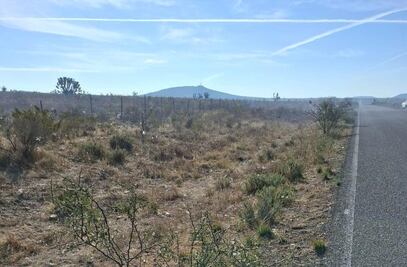 Gobierno de SLP exige investigar anomalías en el hallazgo de madre buscadora de Zacatecas  