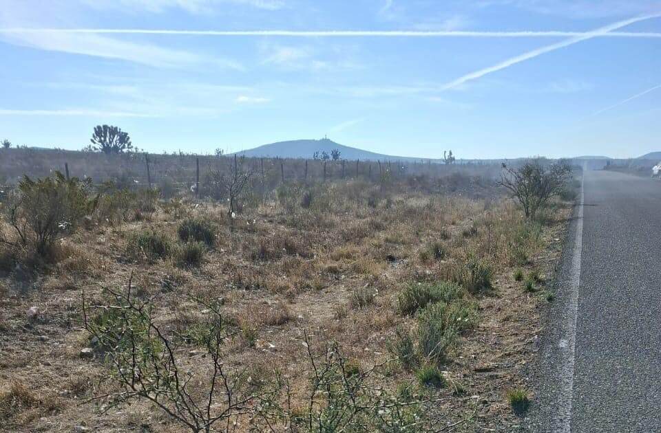 Gobierno de SLP exige investigar anomalías en el hallazgo de madre buscadora de Zacatecas  